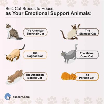 Can I Register My Cat as an Emotional Support Animal? And Why Do Cats Always Land on Their Feet?