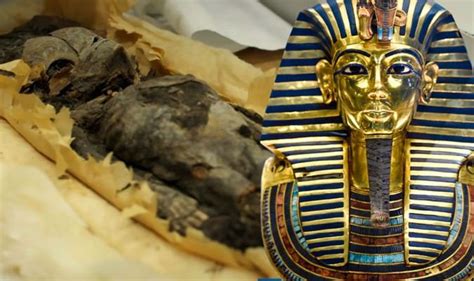 Egyptski Wybór - Odkrycie Grobowca Tutankhamuna: Podsumowanie Historycznych Konsekwencji i Kontrowersji