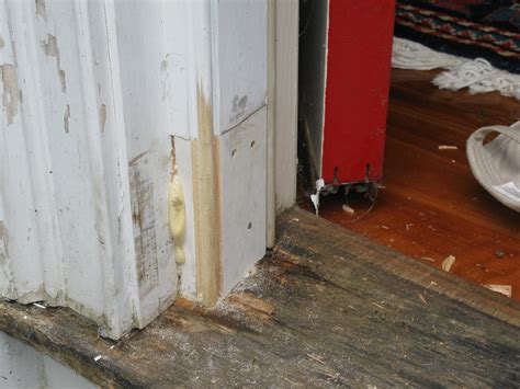 How to Repair Rotted Door Frame: A Journey Through Wood and Whimsy